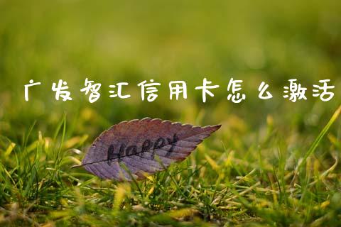 广发智汇信用卡怎么激活_https://m.kuaijiepai.net_资产证券化_第1张