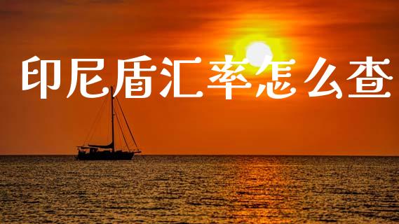印尼盾汇率怎么查_https://m.kuaijiepai.net_股票交易_第1张