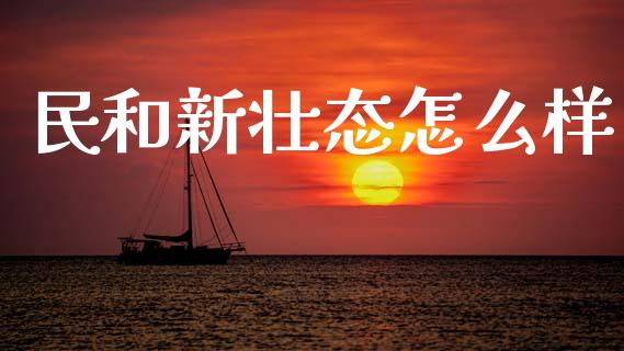 民和新壮态怎么样_https://m.kuaijiepai.net_货币基金_第1张