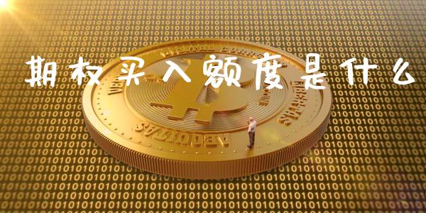 期权买入额度是什么_货币基金_第1张_货币基金_债券投资_股票交易_资产证券化 期权买入额度是什么_https://m.kuaijiepai.net_货币基金_第1张