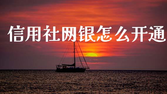 信用社网银怎么开通_https://m.kuaijiepai.net_债券投资_第1张
