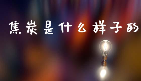 焦炭是什么样子的_https://m.kuaijiepai.net_资产证券化_第1张