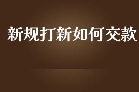 新规打新如何交款_https://m.kuaijiepai.net_债券投资_第1张