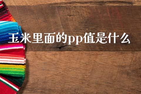玉米里面的pp值是什么_https://m.kuaijiepai.net_债券投资_第1张