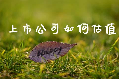 上市公司如何估值_https://m.kuaijiepai.net_债券投资_第1张