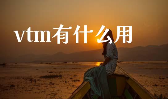 vtm有什么用_https://m.kuaijiepai.net_资产证券化_第1张
