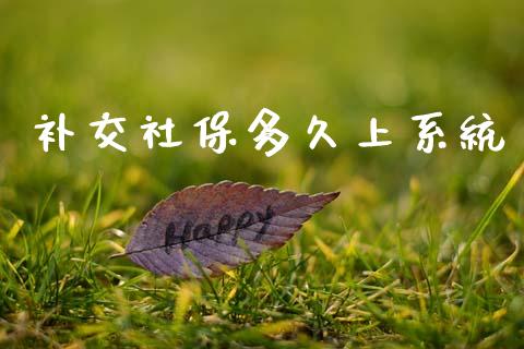 补交社保多久上系统_https://m.kuaijiepai.net_资产证券化_第1张