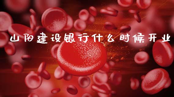 山阳建设银行什么时候开业_https://m.kuaijiepai.net_债券投资_第1张