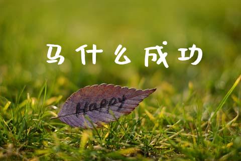马什么成功_https://m.kuaijiepai.net_股票交易_第1张