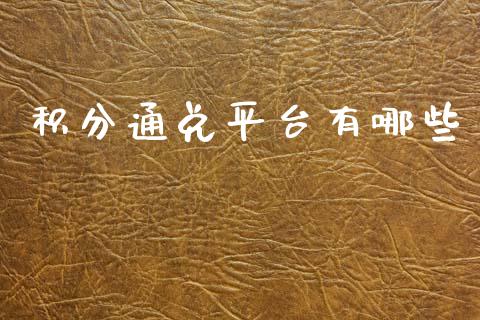 积分通兑平台有哪些_https://m.kuaijiepai.net_债券投资_第1张