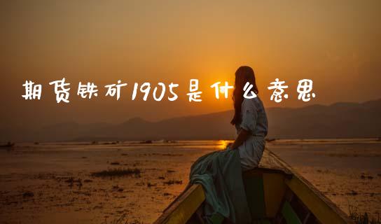 期货铁矿1905是什么意思_https://m.kuaijiepai.net_资产证券化_第1张