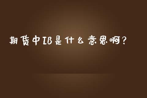 期货中IB是什么意思啊？_https://m.kuaijiepai.net_货币基金_第1张