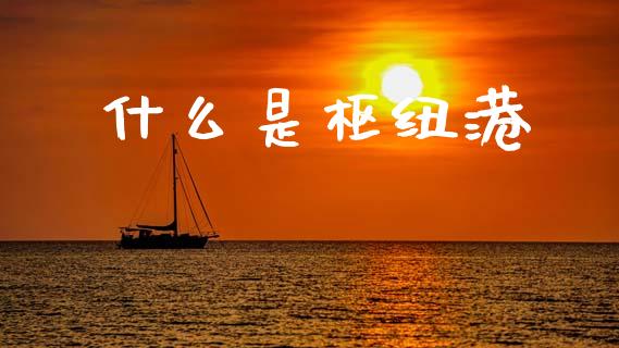 什么是枢纽港_货币基金_第1张_货币基金_债券投资_股票交易_资产证券化 什么是枢纽港_https://m.kuaijiepai.net_货币基金_第1张