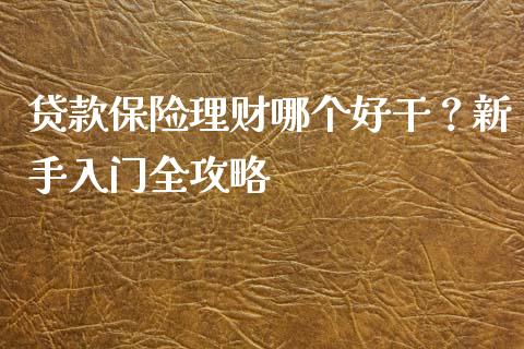 贷款保险理财哪个好干？新手入门全攻略_https://m.kuaijiepai.net_资产证券化_第1张