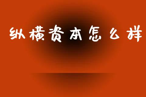 纵横资本怎么样_https://m.kuaijiepai.net_债券投资_第1张