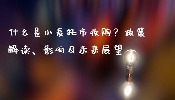 什么是小麦托市收购?政策解读、影响及未来展望_股票交易_第1张_货币基金_债券投资_股票交易_资产证券化 什么是小麦托市收购?政策解读、影响及未来展望_https://m.kuaijiepai.net_股票交易_第1张