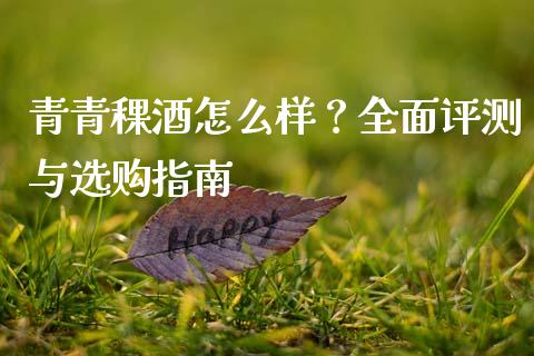 青青稞酒怎么样？全面评测与选购指南_https://m.kuaijiepai.net_货币基金_第1张