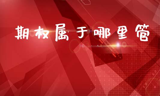 期权属于哪里管_https://m.kuaijiepai.net_债券投资_第1张