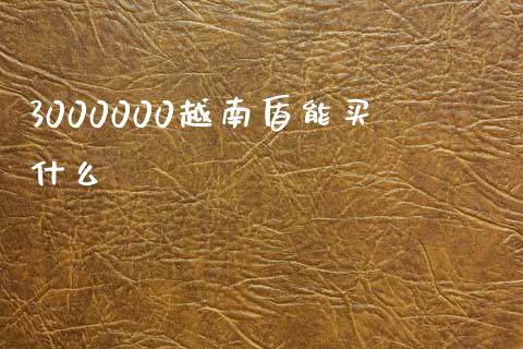 3000000越南盾能买什么_https://m.kuaijiepai.net_债券投资_第1张