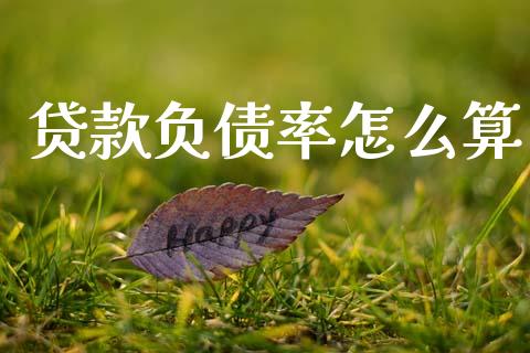 贷款负债率怎么算_https://m.kuaijiepai.net_股票交易_第1张