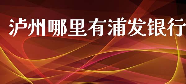 泸州哪里有浦发银行_https://m.kuaijiepai.net_债券投资_第1张