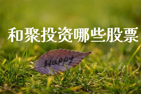 和聚投资哪些股票_https://m.kuaijiepai.net_股票交易_第1张