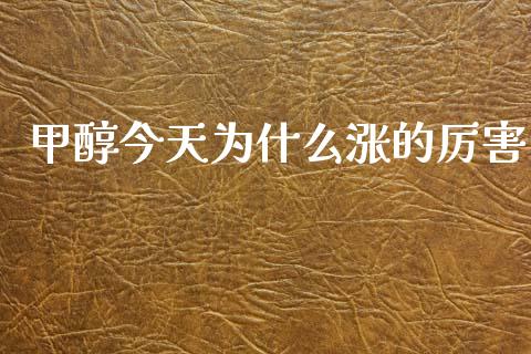 甲醇今天为什么涨的厉害_https://m.kuaijiepai.net_债券投资_第1张