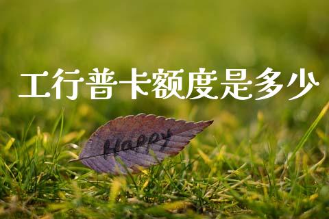 工行普卡额度是多少_https://m.kuaijiepai.net_货币基金_第1张
