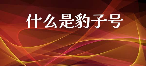 什么是豹子号_https://m.kuaijiepai.net_货币基金_第1张