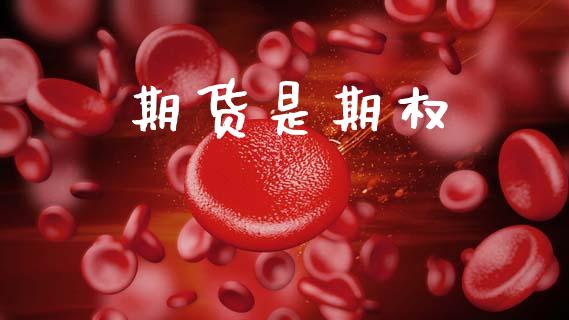 期货是期权_https://m.kuaijiepai.net_债券投资_第1张