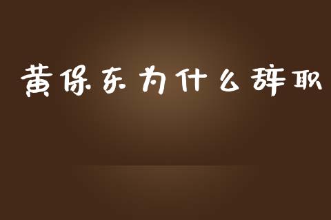 黄保东为什么辞职_https://m.kuaijiepai.net_货币基金_第1张