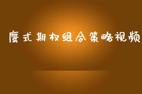 鹰式期权组合策略视频_https://m.kuaijiepai.net_资产证券化_第1张