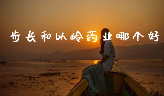 步长和以岭药业哪个好_https://m.kuaijiepai.net_债券投资_第1张