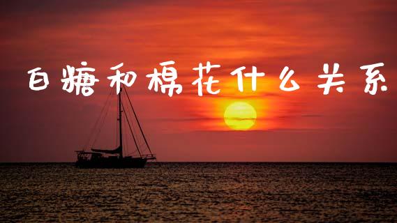 白糖和棉花什么关系_https://m.kuaijiepai.net_股票交易_第1张