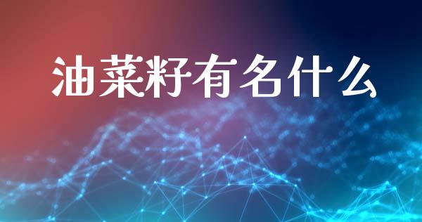 油菜籽有名什么_https://m.kuaijiepai.net_货币基金_第1张