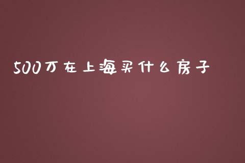 500万在上海买什么房子_债券投资_第1张_货币基金_债券投资_股票交易_资产证券化 500万在上海买什么房子_https://m.kuaijiepai.net_债券投资_第1张