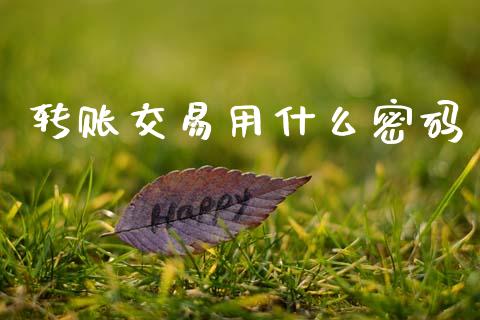 转账交易用什么密码_资产证券化_第1张_货币基金_债券投资_股票交易_资产证券化 转账交易用什么密码_https://m.kuaijiepai.net_资产证券化_第1张