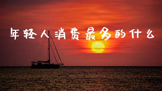 年轻人消费最多的什么_https://m.kuaijiepai.net_资产证券化_第1张