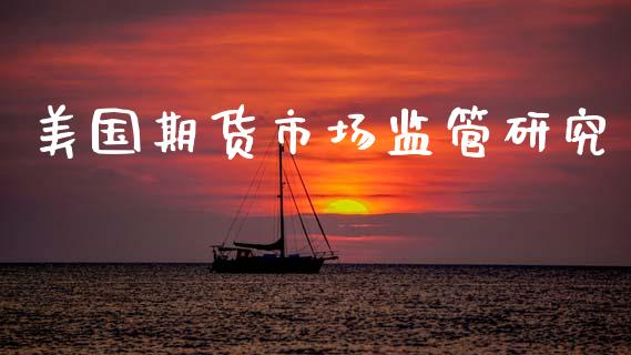 美国期货市场监管研究_https://m.kuaijiepai.net_债券投资_第1张