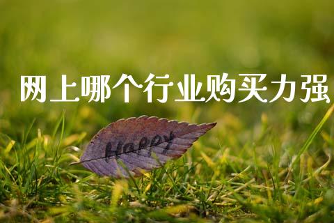 网上哪个行业购买力强_https://m.kuaijiepai.net_债券投资_第1张