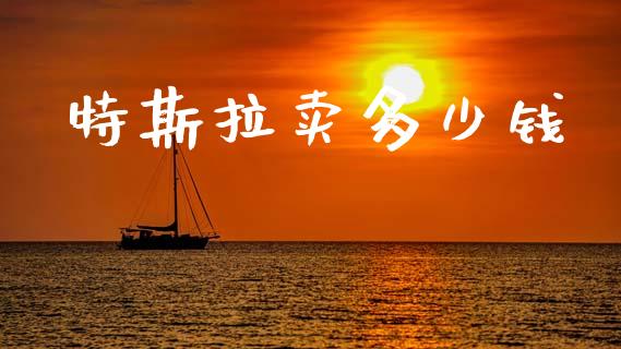 特斯拉卖多少钱_https://m.kuaijiepai.net_债券投资_第1张