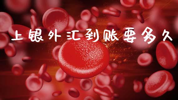 上银外汇到账要多久_https://m.kuaijiepai.net_资产证券化_第1张
