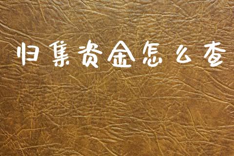 归集资金怎么查_https://m.kuaijiepai.net_货币基金_第1张