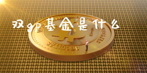 双gp基金是什么_https://m.kuaijiepai.net_货币基金_第1张
