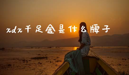 xdx千足金是什么牌子_https://m.kuaijiepai.net_资产证券化_第1张