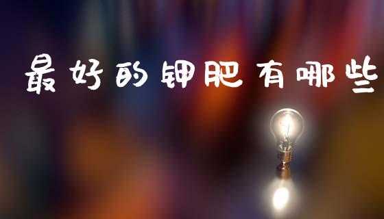 最好的钾肥有哪些_https://m.kuaijiepai.net_货币基金_第1张