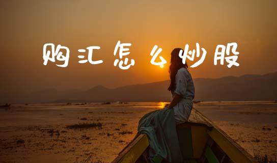 购汇怎么炒股_https://m.kuaijiepai.net_货币基金_第1张
