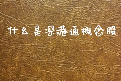什么是深港通概念股_https://m.kuaijiepai.net_股票交易_第1张