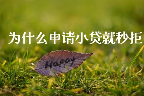 为什么申请小贷就秒拒_https://m.kuaijiepai.net_股票交易_第1张