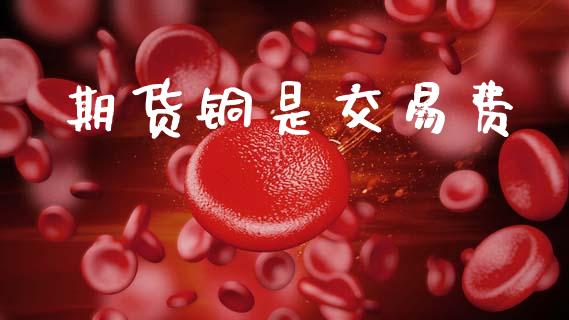 期货铜是交易费_https://m.kuaijiepai.net_股票交易_第1张